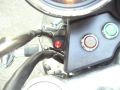 543259787_236s.jpg