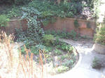 PICT0019.JPG