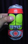SH370116.JPG