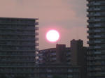 sun1.jpg