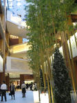 mid1120-016.jpg
