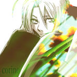 ed04.jpg