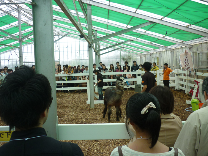 P1000351.jpg