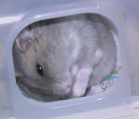 img2007060404.jpg