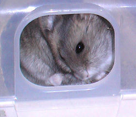 img2007060405.jpg