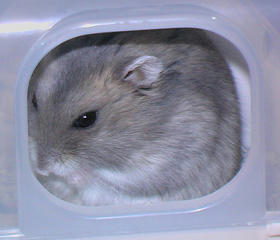 img2007060406.jpg