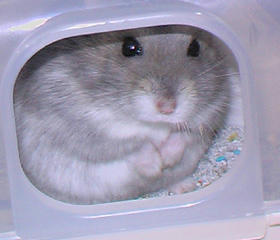 img2007060407.jpg