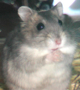 img2007060503.jpg