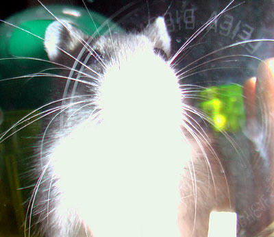 hiro07060702.jpg