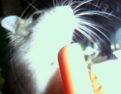 hiro07060703.jpg