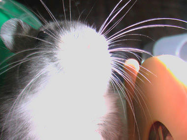 hiro07060704.jpg