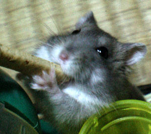hiro07060801.jpg