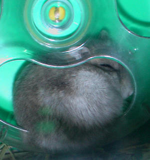 ku2007060903.jpg