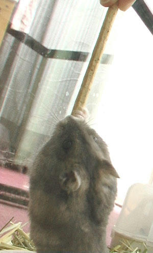 img2007061002.jpg