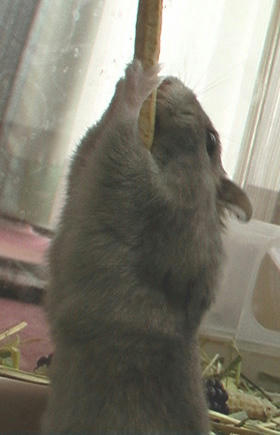 img2007061003.jpg