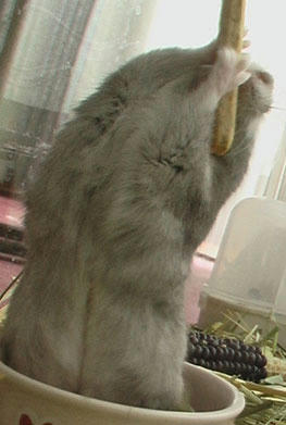 img2007061004.jpg