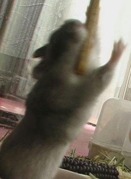 img2007061201.jpg