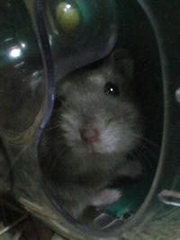 img2007061203.jpg