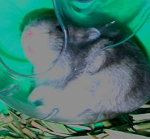 img2007061204.jpg