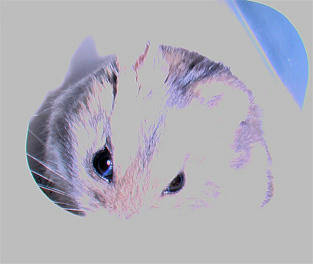 img2007061301.jpg