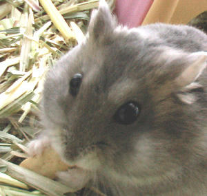 img2007061401.jpg