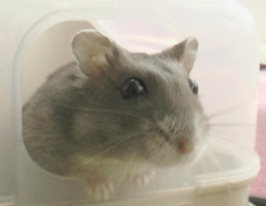 img2007061402.jpg