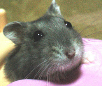 img2007062101.jpg