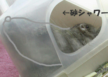 img2007062104.jpg