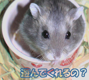 img2007062201.jpg