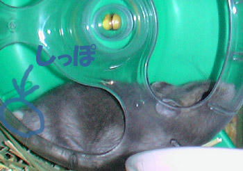 img2007062204.jpg