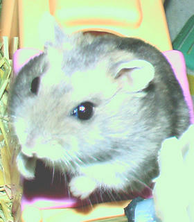 img2007062401.jpg
