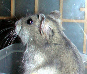 img2007062403.jpg