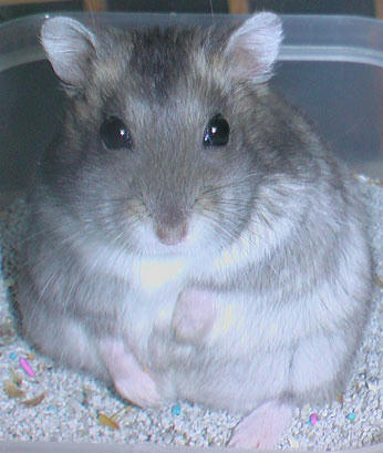 img2007062404.jpg