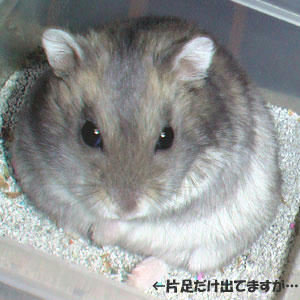img2007062405.jpg