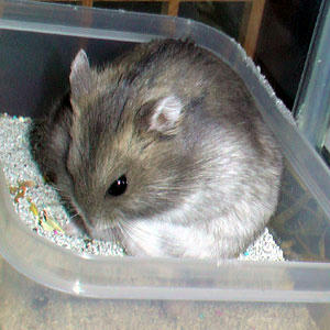 img2007062407.jpg