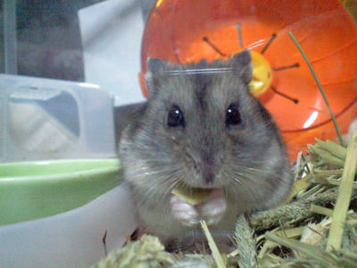 kura10041401.jpg