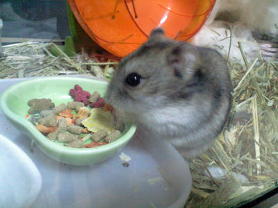 kura10041402.jpg