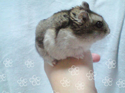 kura10041901.jpg