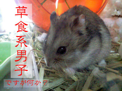 kura10042403.jpg