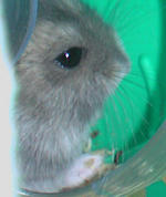 img2007062601.jpg