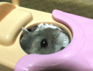 img2007062602.jpg
