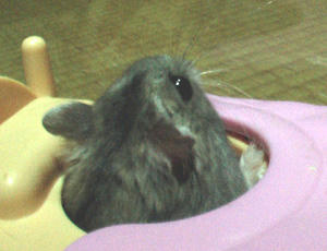 img2007062603.jpg