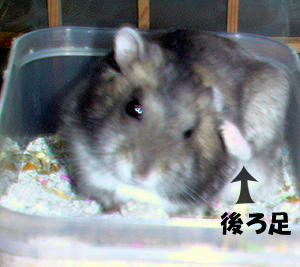 img2007062701.jpg