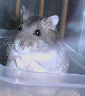 img2007062901.jpg