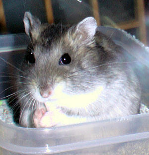 img2007062903.jpg