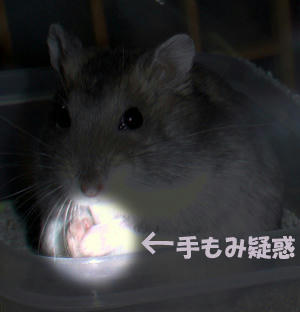 img2007062904.jpg