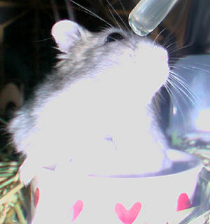 img2007063002.jpg