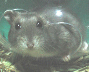 img2007070101.jpg