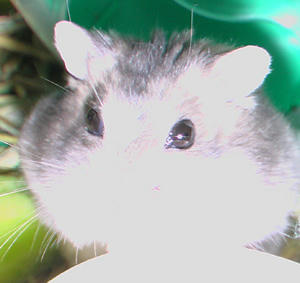 img2007070201.jpg