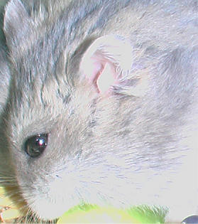 img2007070202.jpg